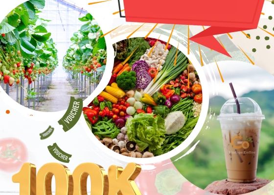 TƯNG BỪNG KHAI TRƯƠNG - GOMART FARM -  CÔNG TY SẢN XUẤT TM DV SƠN THỦY